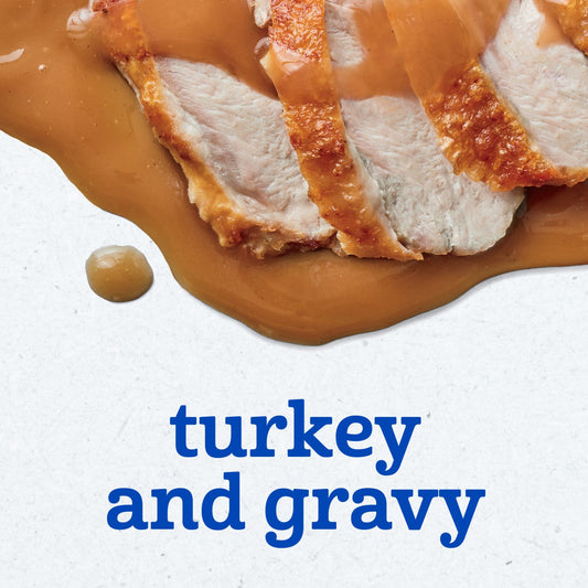 Gerber Mealtime for Baby 2nd Foods - Turkey & Gravy
