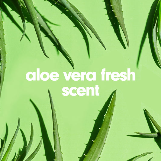 Softsoap Soothing Clean Moisturizing Hand Soap - Aloe Vera
