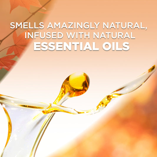 Air Wick Scented Oil Refill, Plug In Air Freshener, Apple Cinnamon Medley