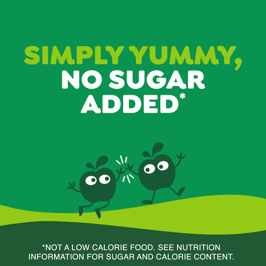 GoGo squeeZ No Sugar Added Apple Applesauce & Fruit Puree Pouches