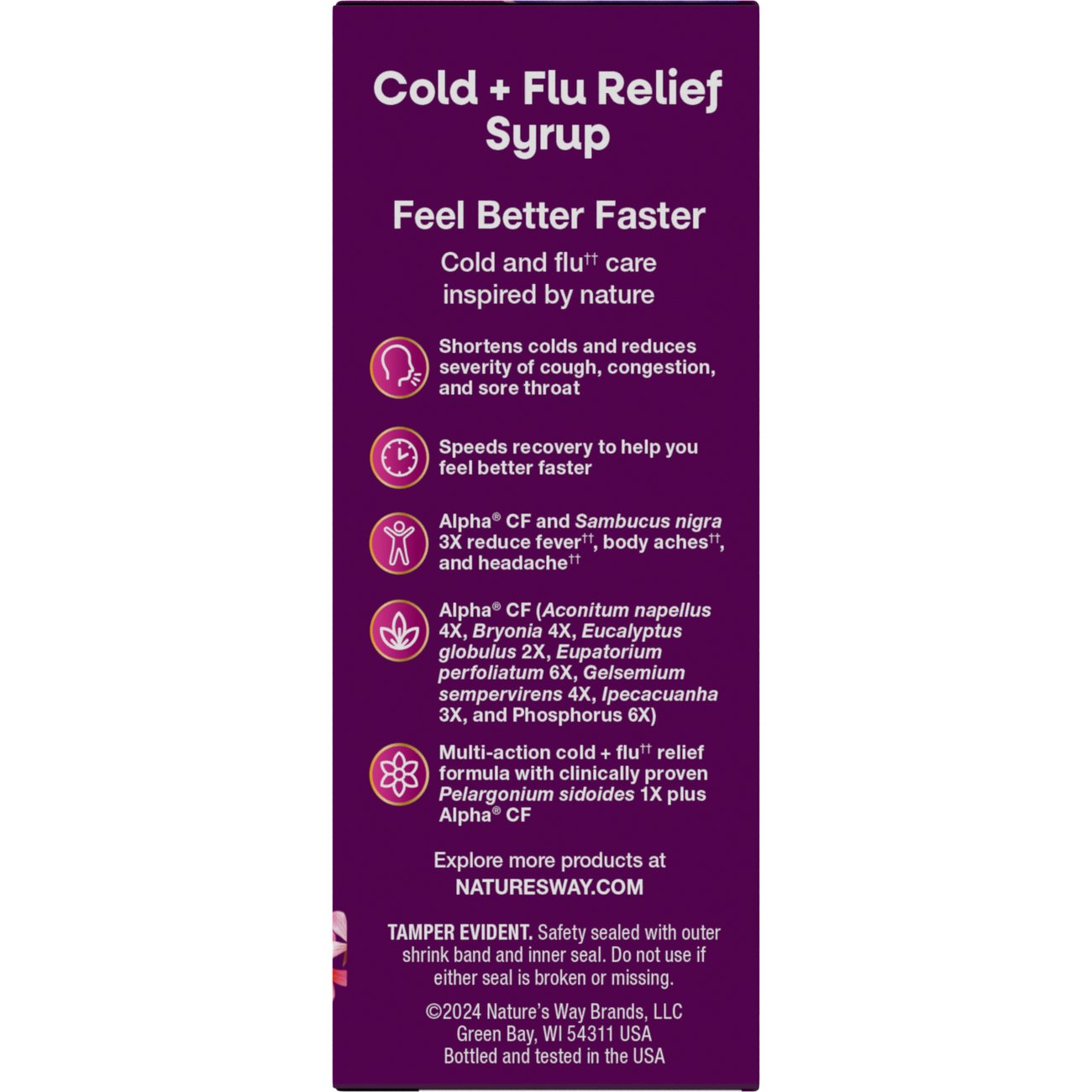 Nature's Way Umcka Cold + Flu Relief Elderberry Syrup - Berry Flavor