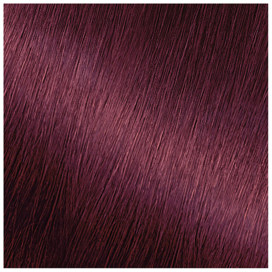 Garnier Nutrisse Nourishing Hair Color Creme - BR2 Dark Intense Burgundy