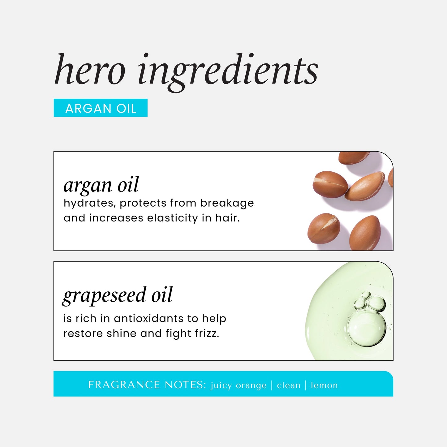 HASK Argan Oil Repairing Hair Oil