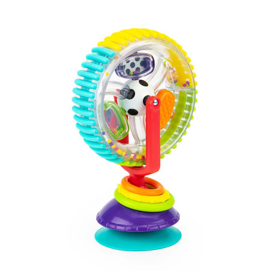 Sassy Wonder Wheel Toy