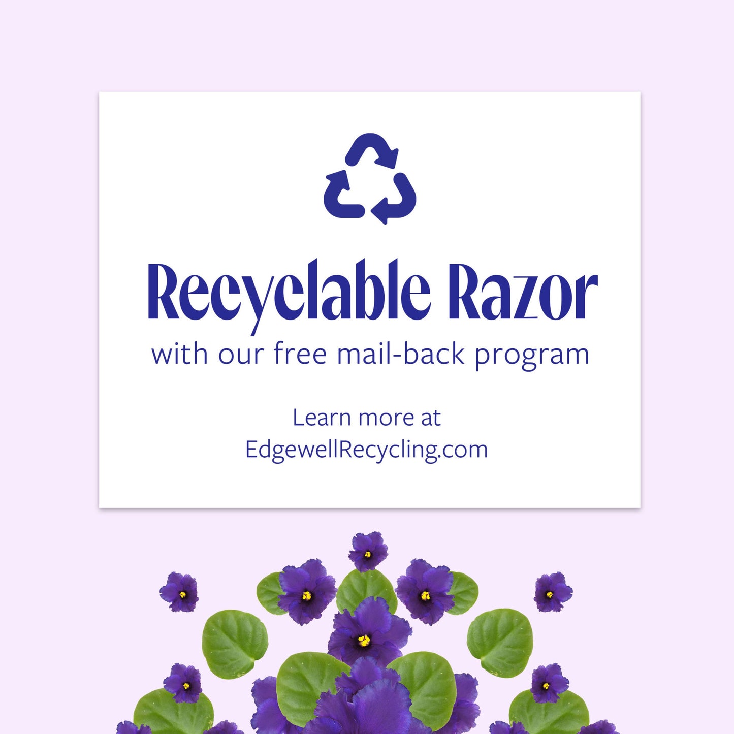 Skintimate Exotic Violet Blooms 4-Blade Disposable Razors