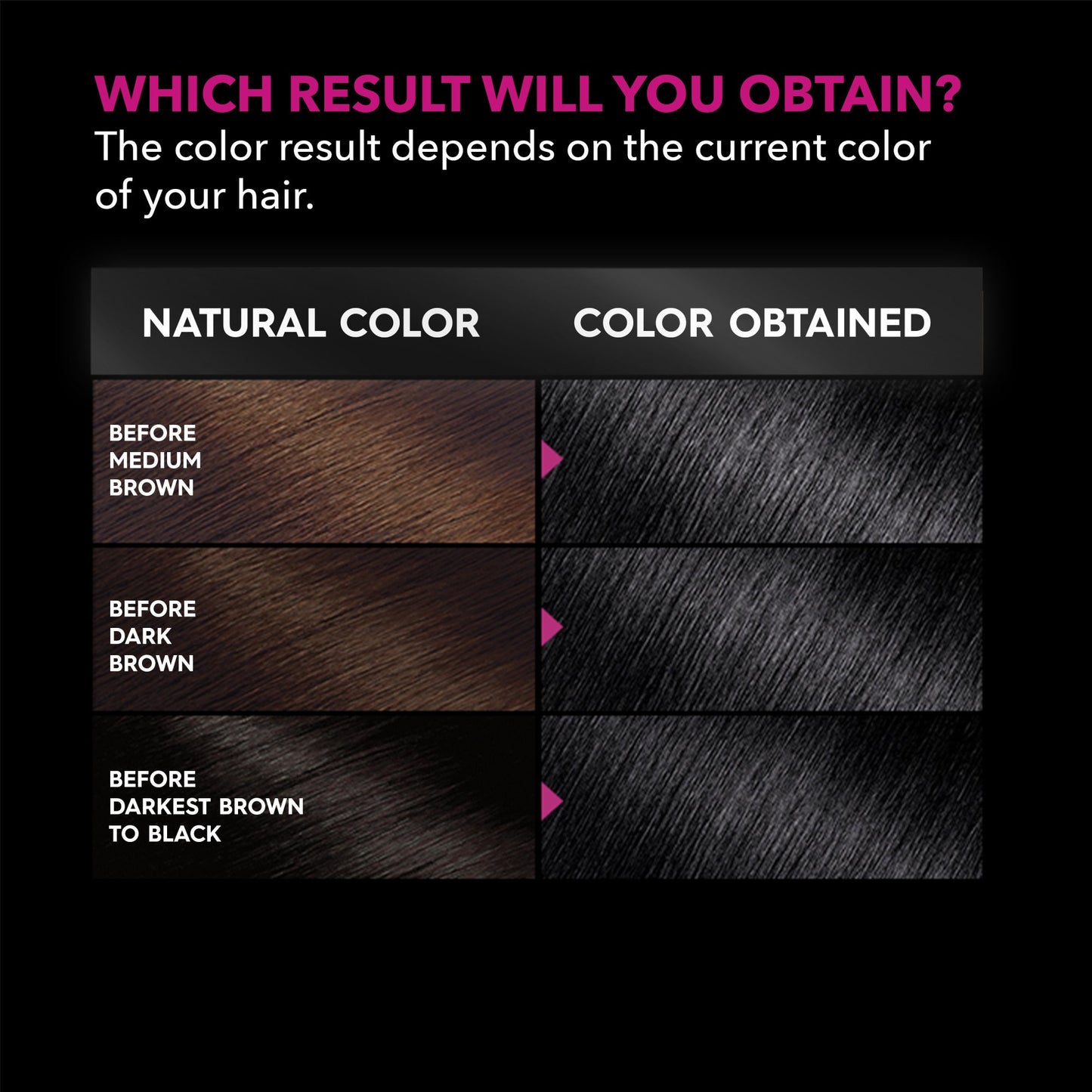 Garnier Olia Oil Powered Ammonia Free Permanent Hair Color 2.11 Platinum Black
