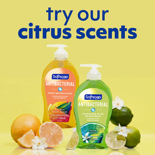Softsoap Antibacterial Hand Soap Refill - Fresh Citrus