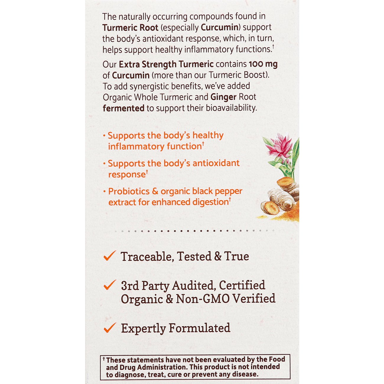Garden of Life mykind Organics Extra Strength Turmeric Tablets