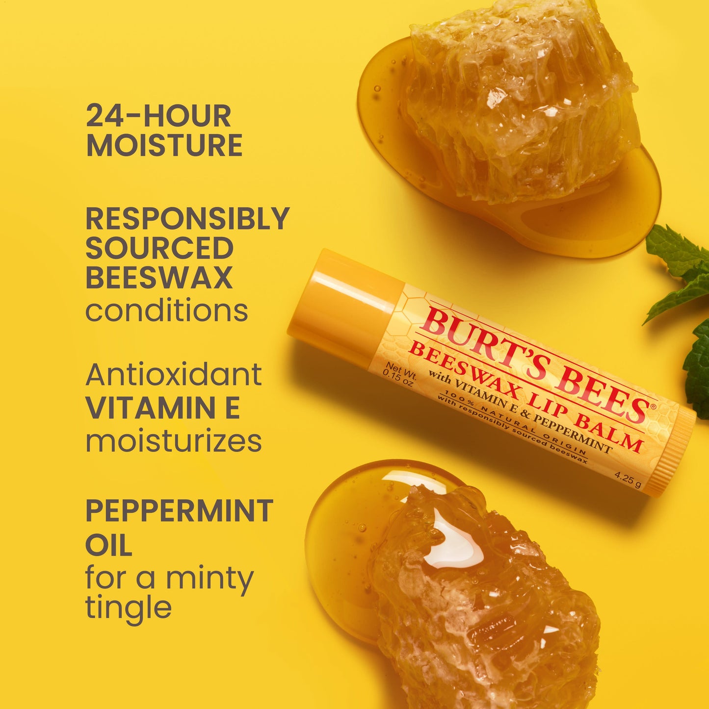 Burt's Bees Moisturizing Lip Balm Pack - Beeswax