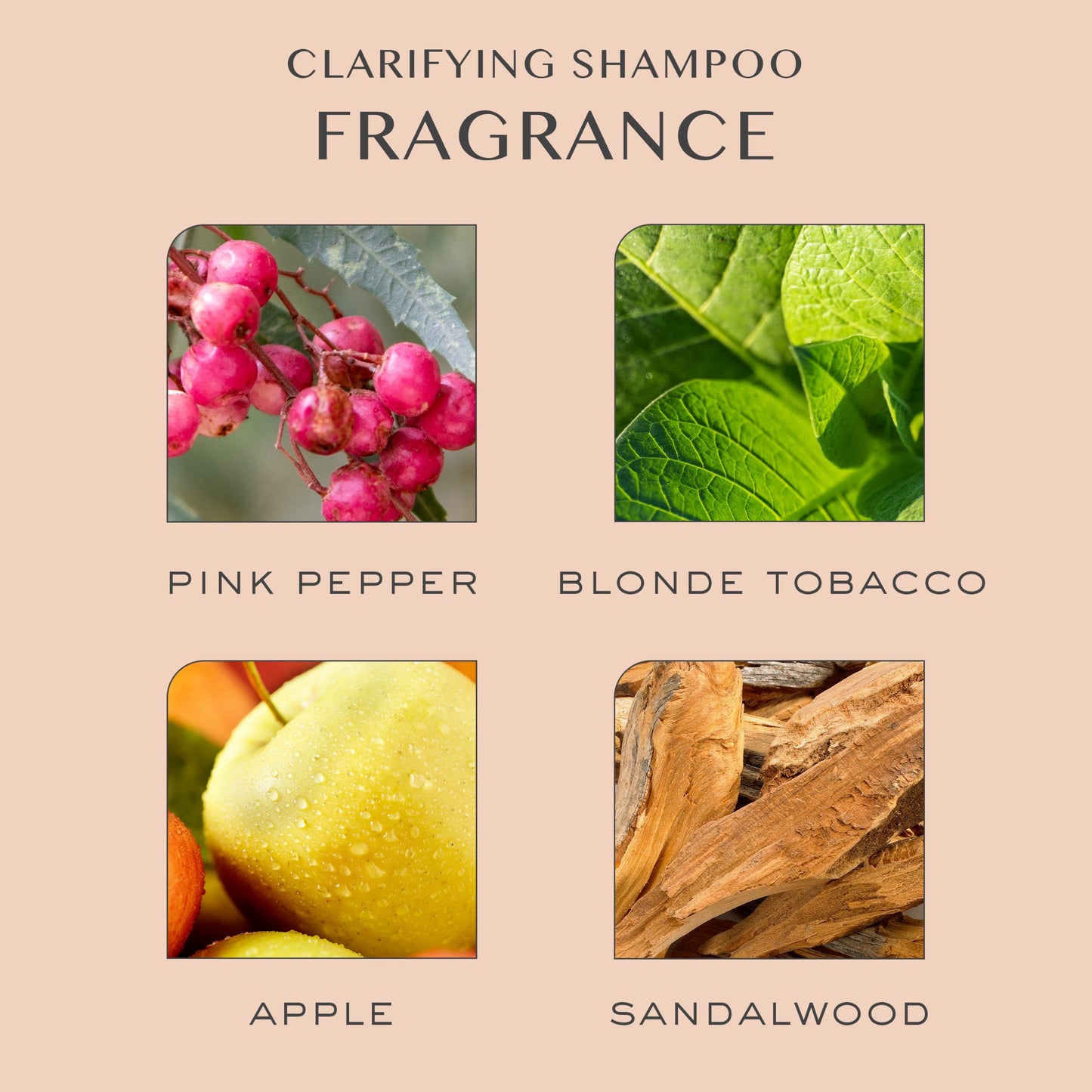 Kristin Ess Deep Clean Clarifying Shampoo