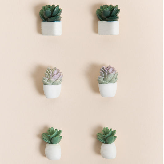 U Brands Push Pins - Potted Succulents