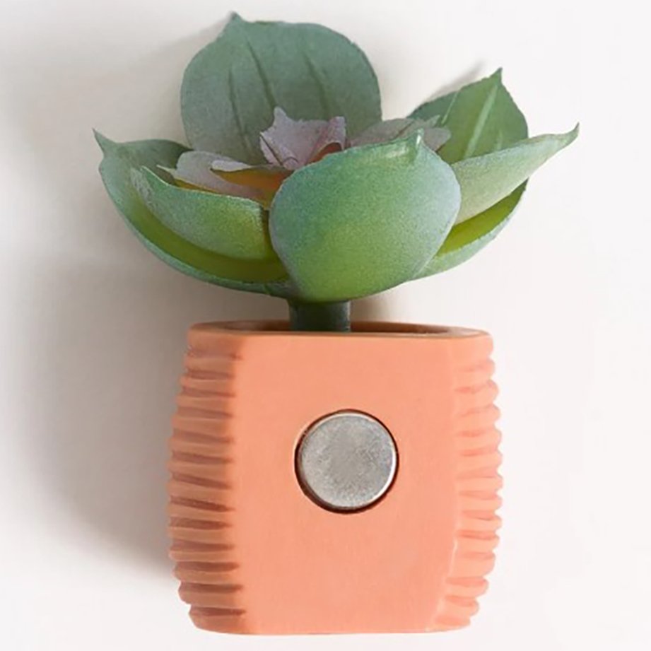 U Brands Magnets - Potted Succulents
