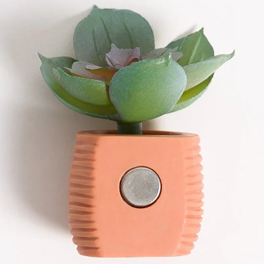 U Brands Magnets - Potted Succulents