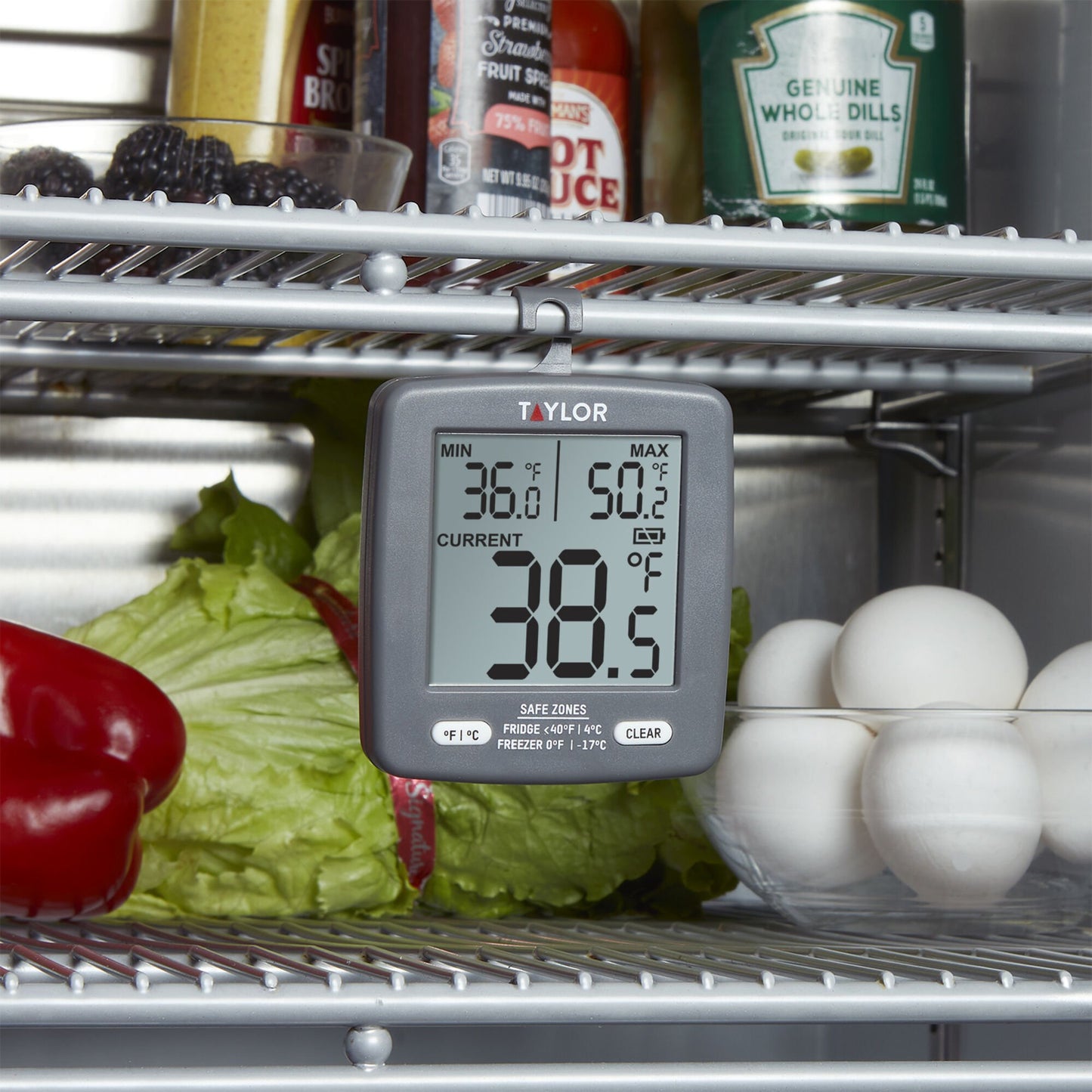Taylor Fridge & Freezer Thermometer