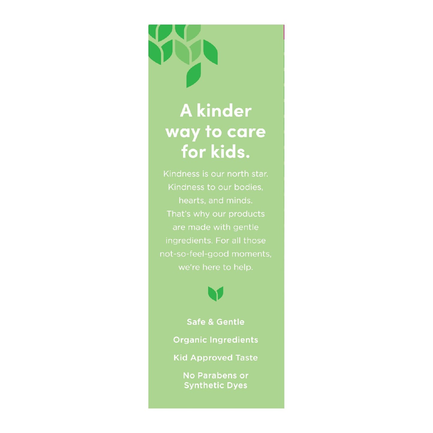 Hyland's Naturals Kids Daytime All-In-One Cough Syrup - Grape