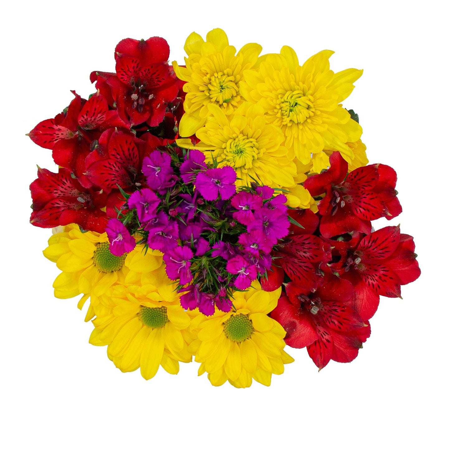 BLOOMS by H-E-B Grower Bunch