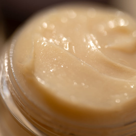Burt's Bees Nighttime Lip Duo Lip Scrub & Lip Treatment