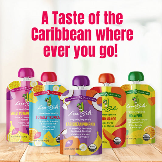 Loco Bebe Organic Baby Food Purée - Sweet Potato Paradise