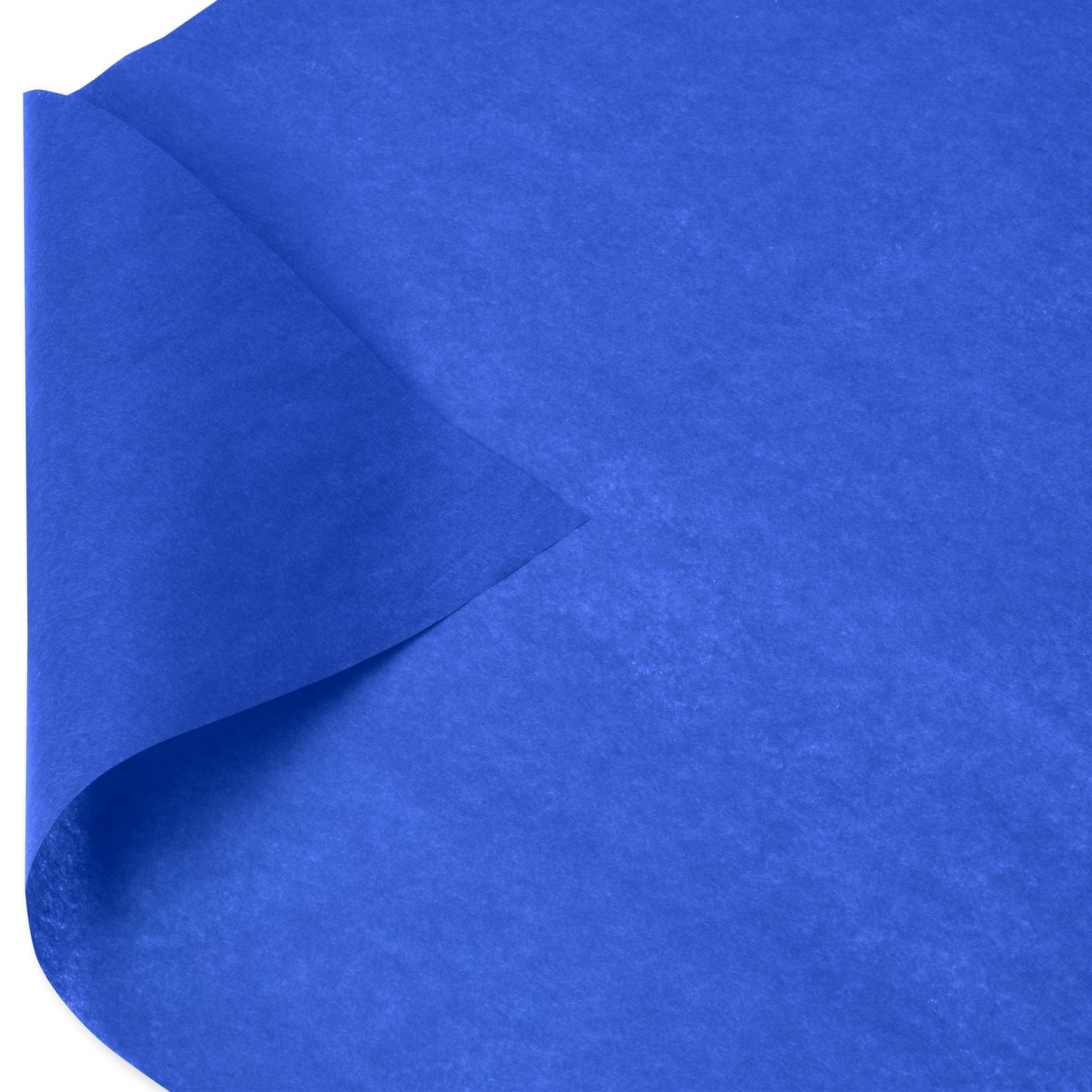 American Greetings Royal Blue Tissue Paper, 8 ct
