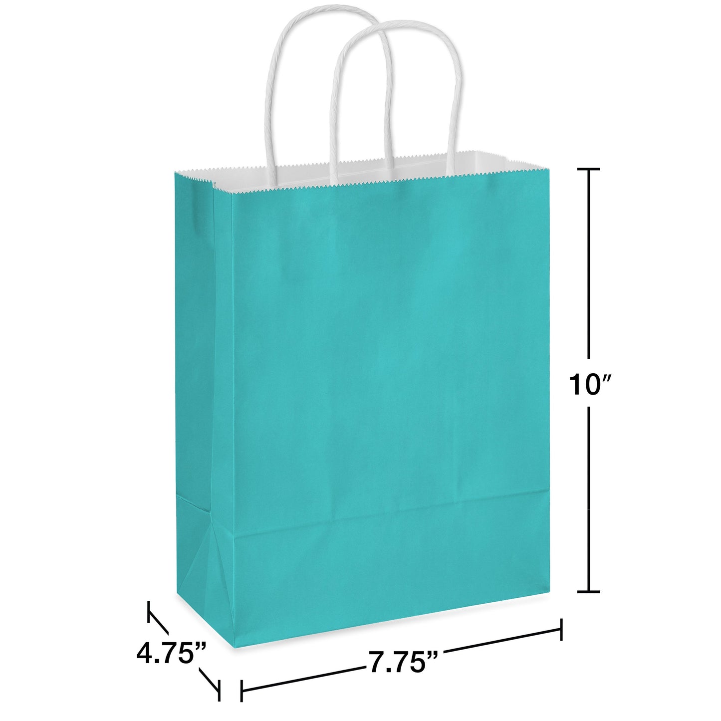 American Greetings Medium Aqua Gift Bag for All Occasions