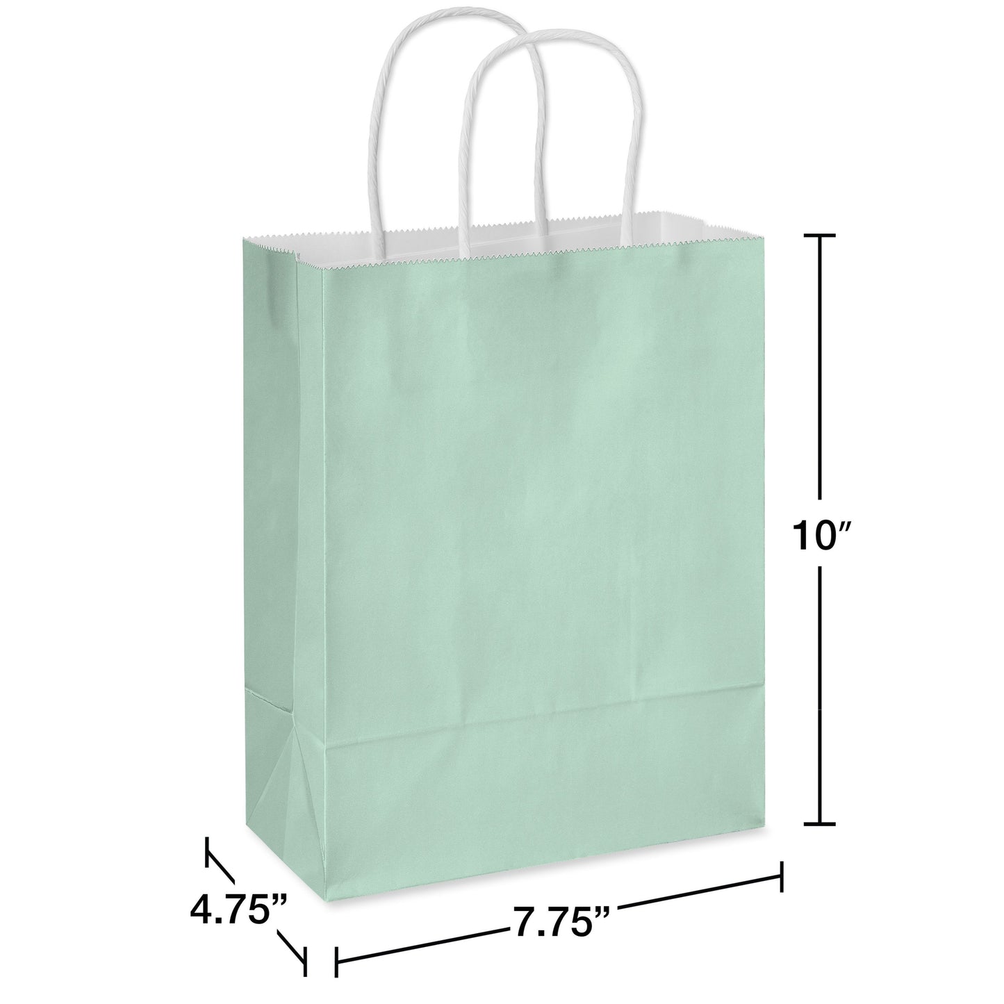 American Greetings Medium Mint Gift Bag for All Occasions