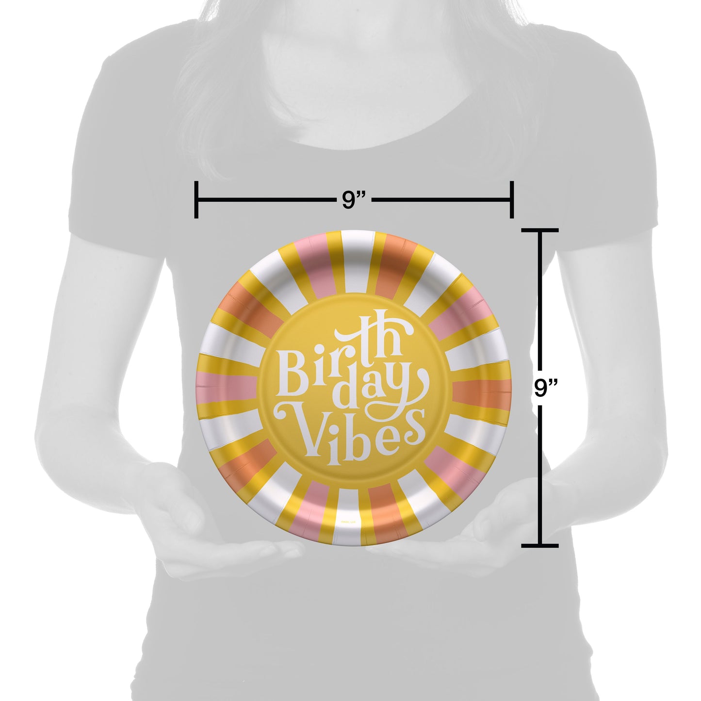 American Greetings Birthday Vibes 9" Birthday Paper Plates