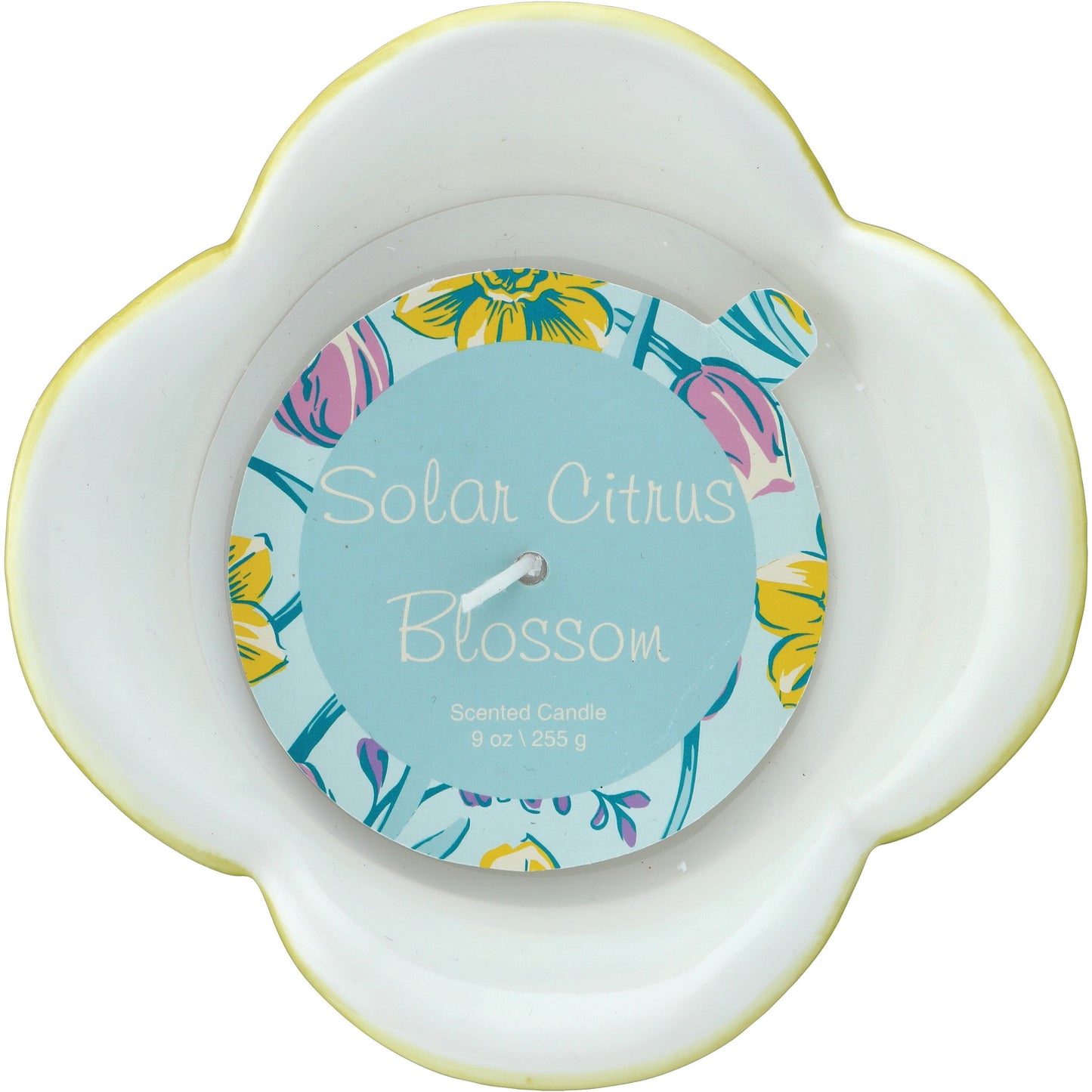 Destination Holiday Solar Citrus Blossom Scented Tulip Candle