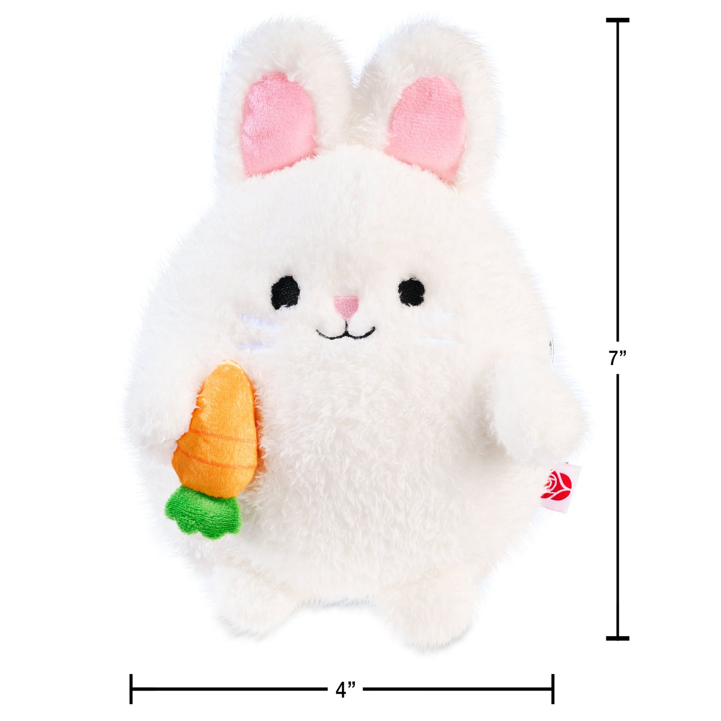 American Greetings Easter Plush Bunny with Zipper Pouch