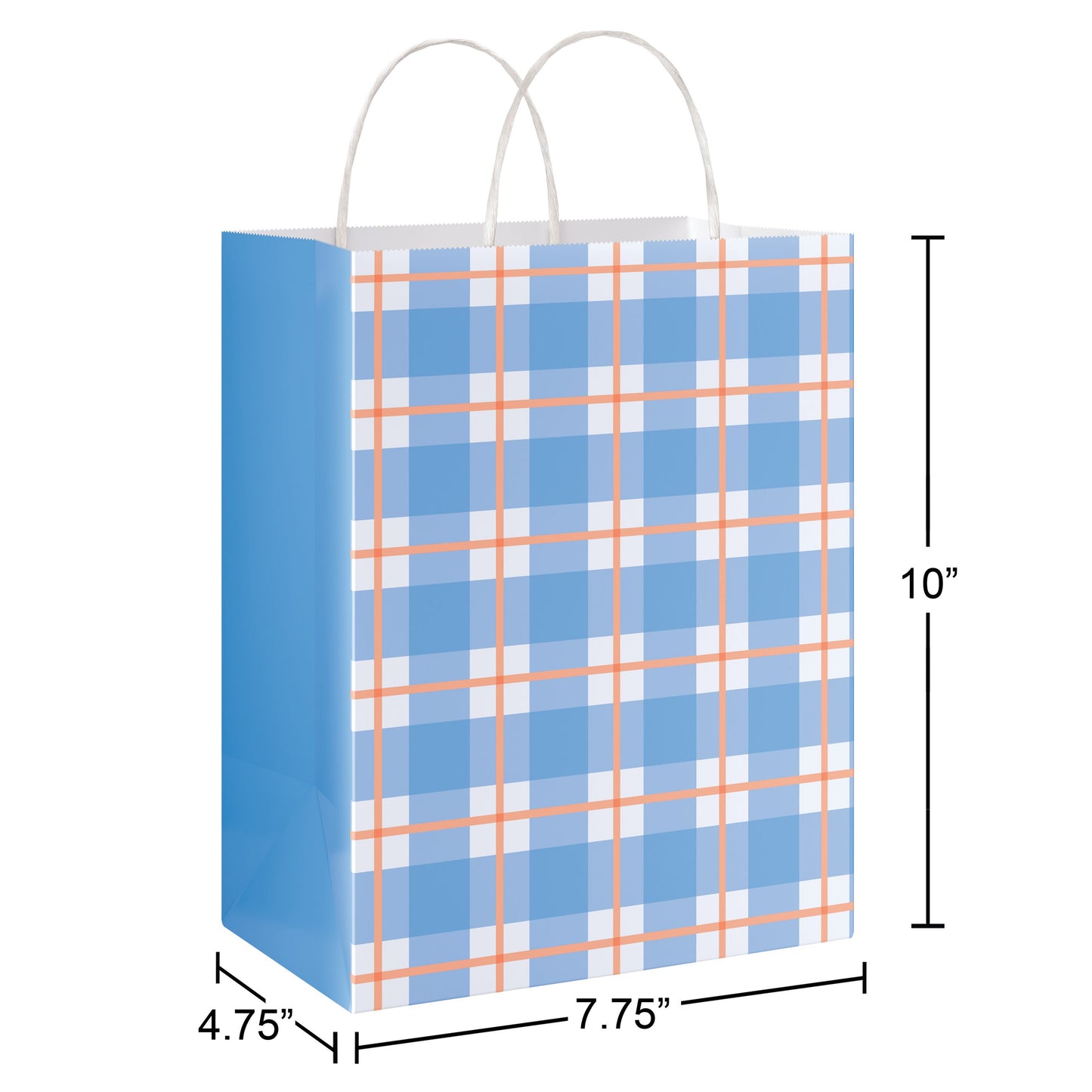 American Greetings Blue Plaid Medium Easter Gift Bag