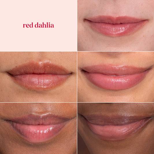 Burt's Bees Tinted Lip Balm Pack - Red Dahlia, Daisy, Rose
