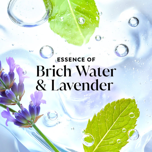 Olay Fresh Radiance Body Wash - Birch Water & Lavender