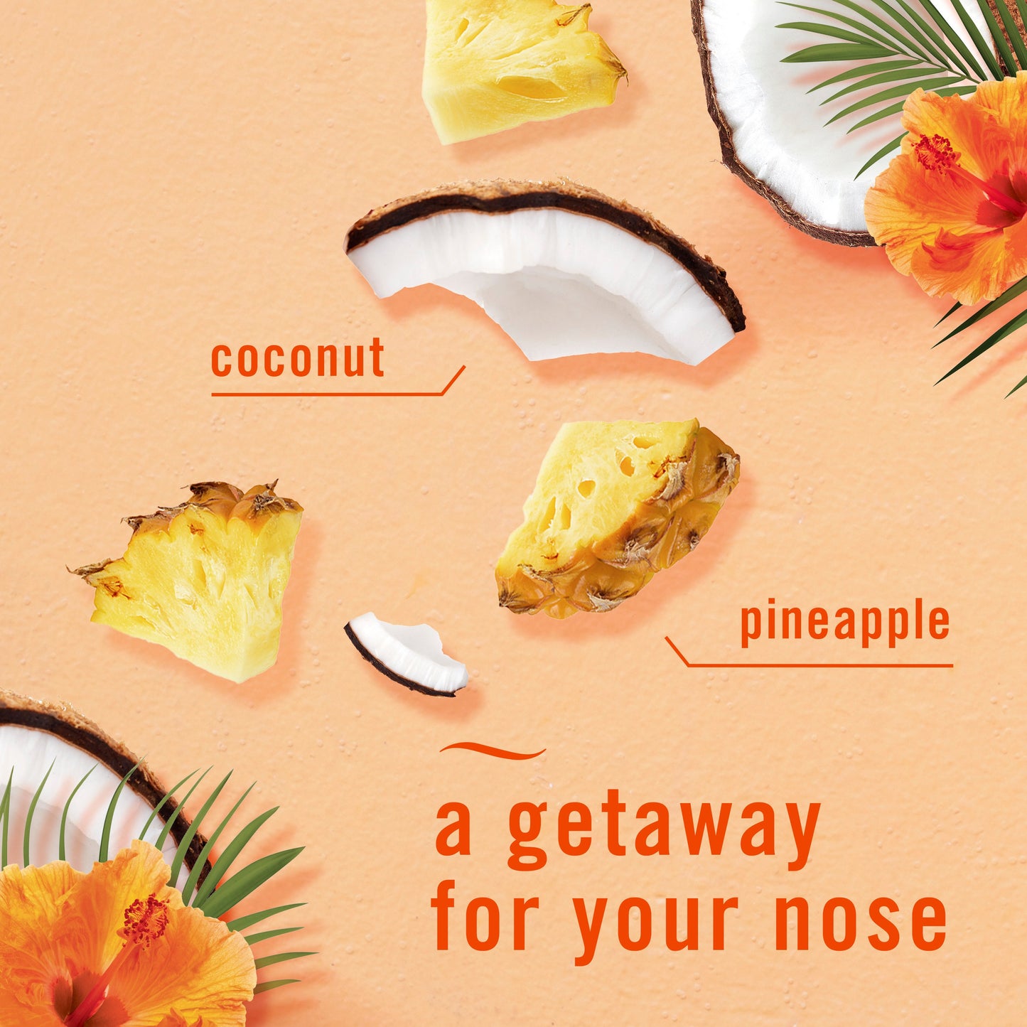 Febreze Plug Scent Booster Starter Kit - Hawaiian Aloha