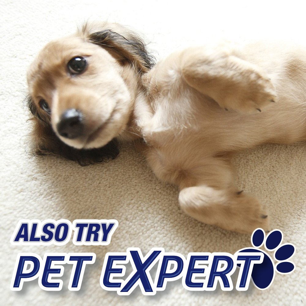 Resolve Heavy Traffic, Pet Stain and Odor Remover Carpet Cleaner Foam
