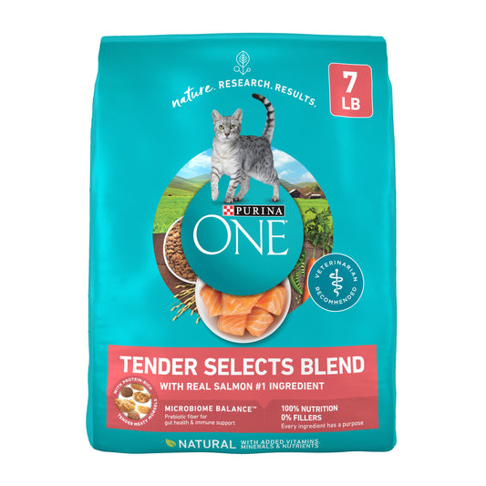 Purina ONE Natural Dry Cat Food - Tender Selects Blend With Real Salmon