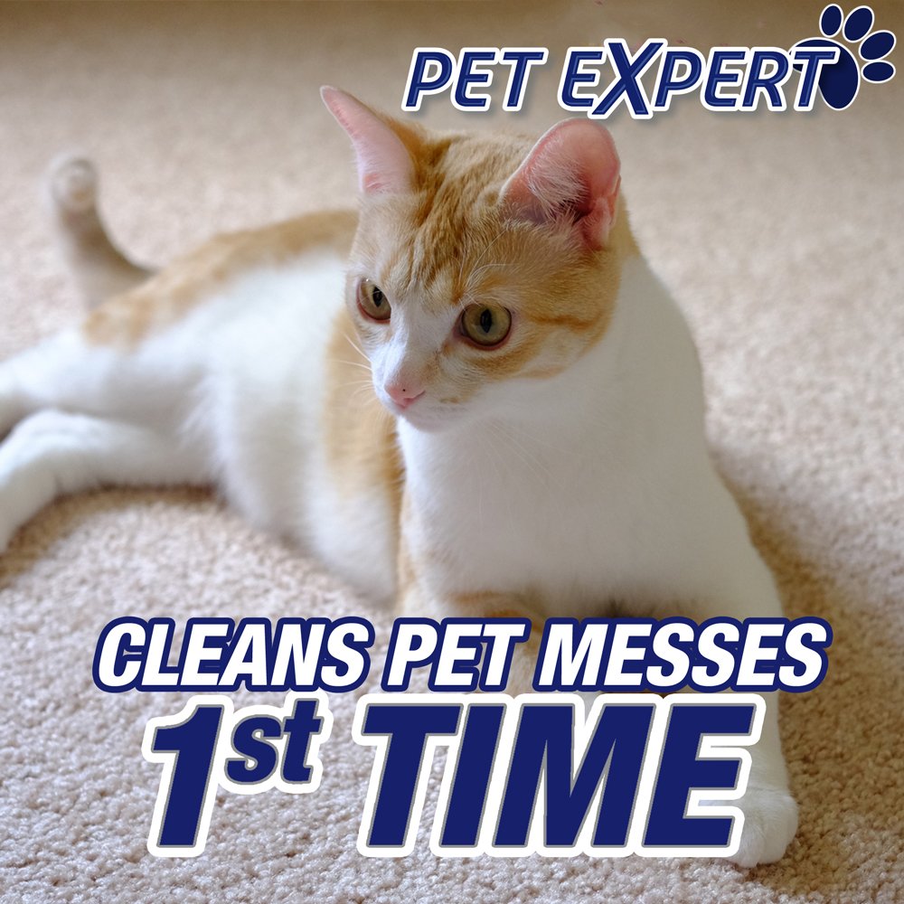 Resolve Pet Expert High Traffic Carpet Cleaner, Pet Stain and Odor Remover Carpet Cleaner Spray