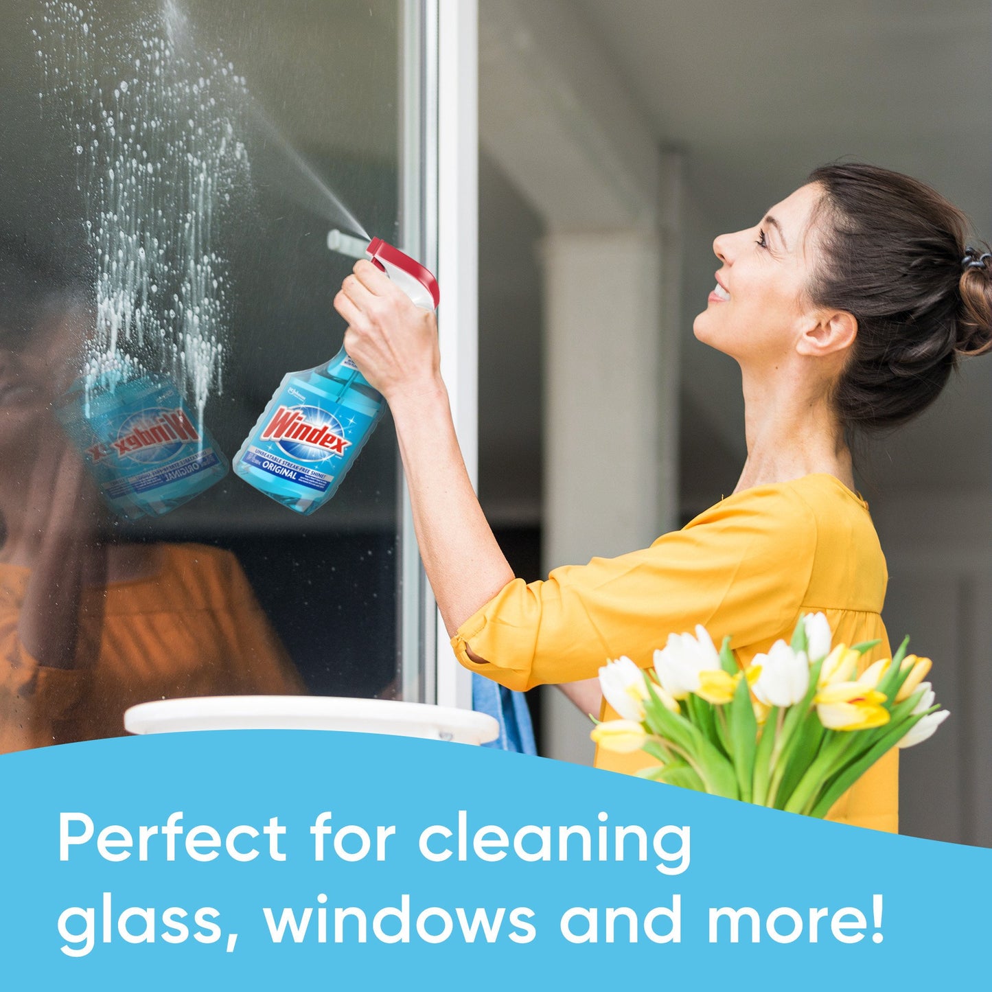 Windex Original Value Refill Glass Cleaner