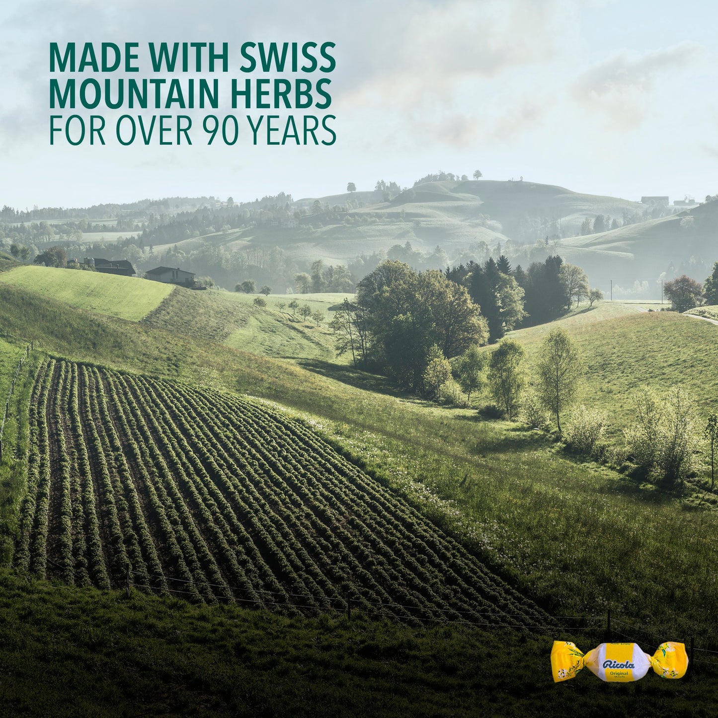 Ricola Sugar Free Cough Drops - Swiss Herb