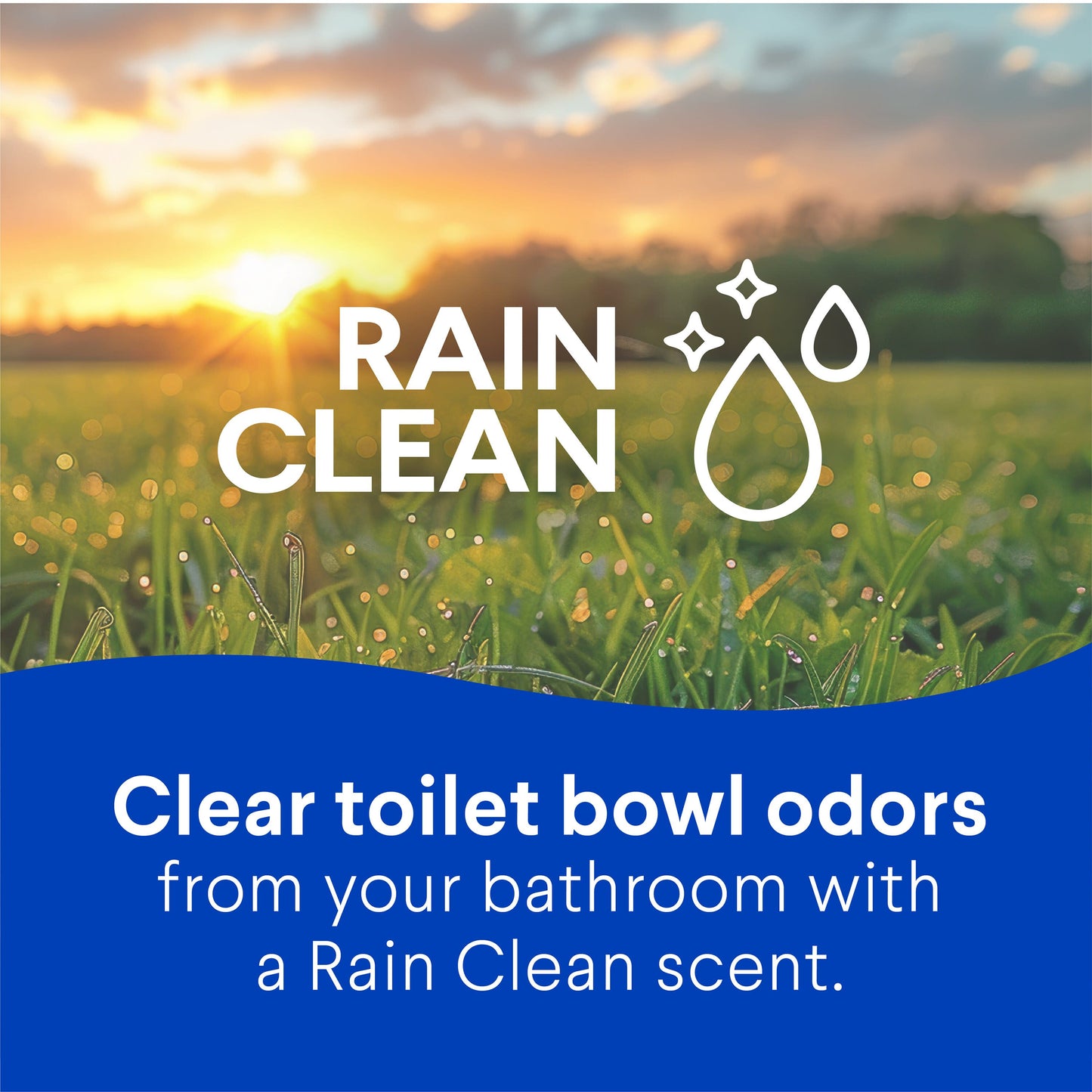 Clorox Rain Clean Toilet Bowl Cleaner with Bleach
