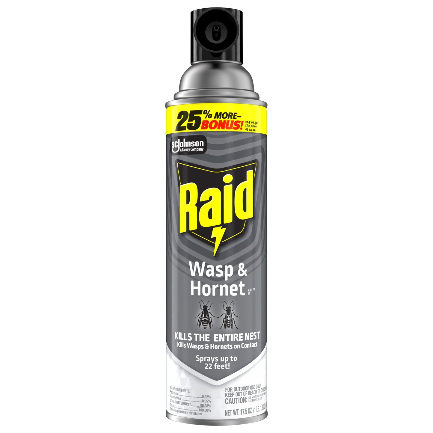 Raid Wasp & Hornet Killer, Outdoor Flying Insect Spray