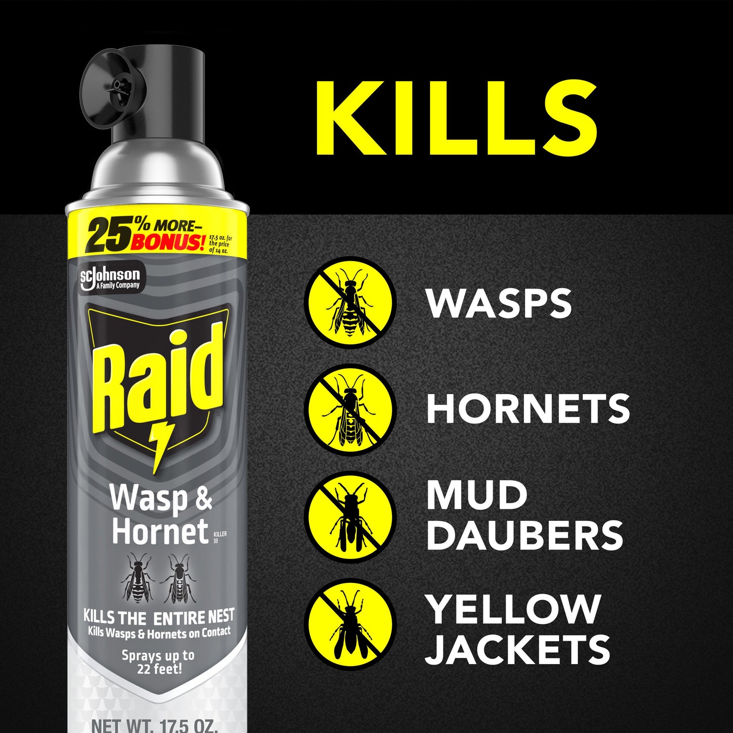 Raid Wasp & Hornet Killer, Outdoor Flying Insect Spray