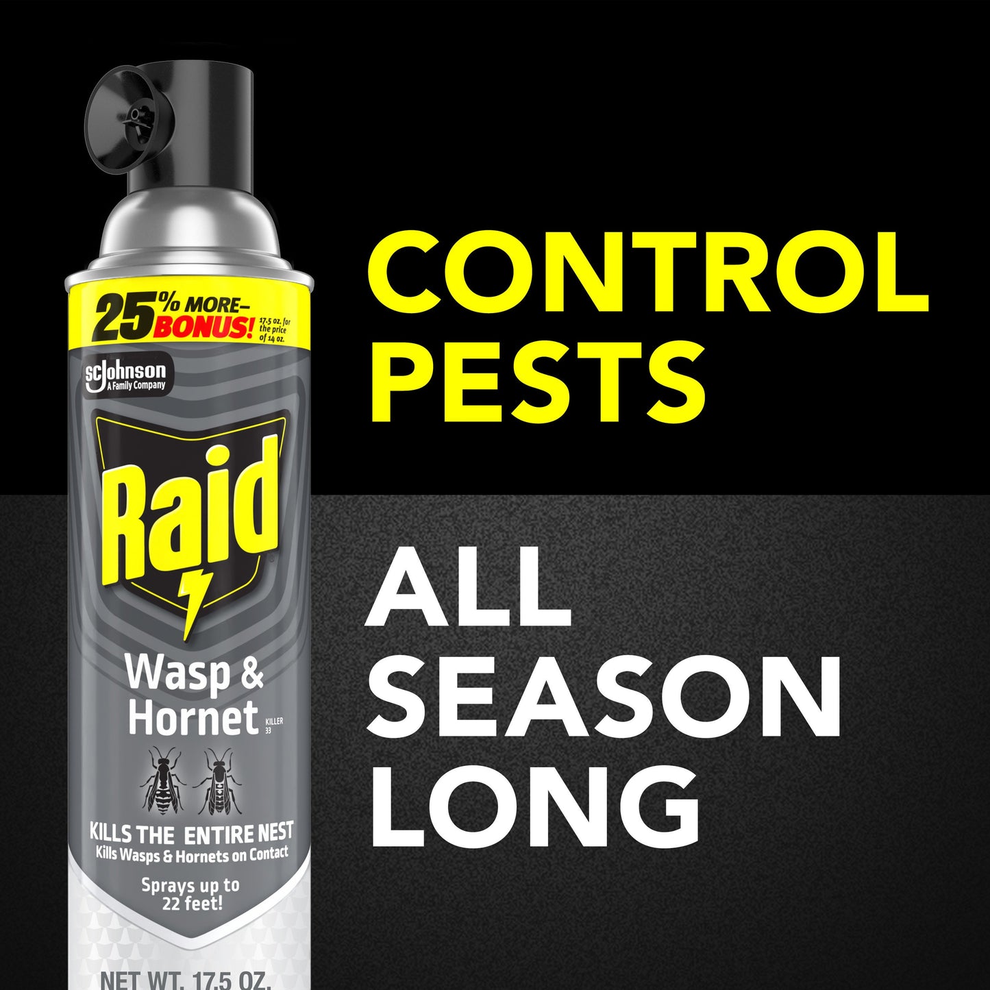 Raid Wasp & Hornet Killer, Outdoor Flying Insect Spray