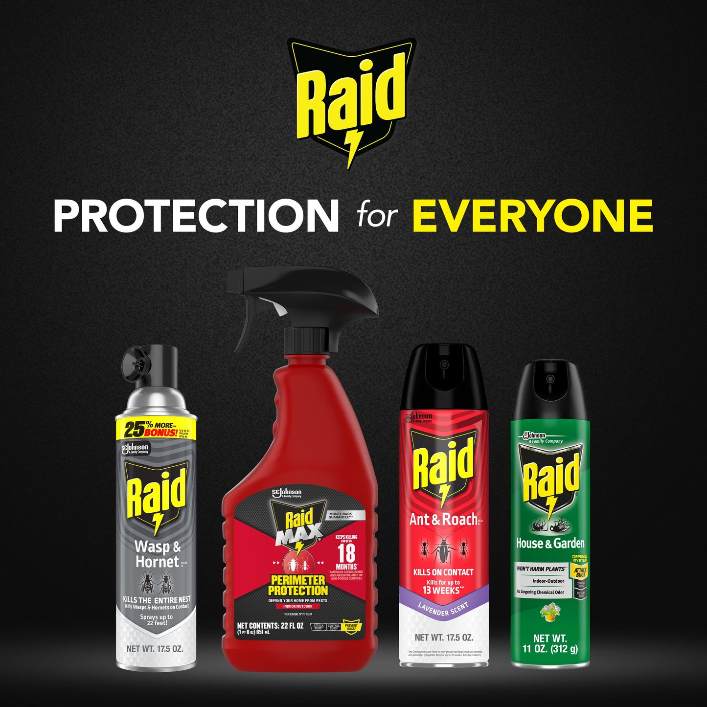 Raid Wasp & Hornet Killer, Outdoor Flying Insect Spray