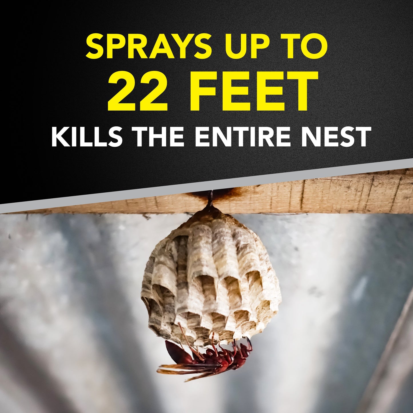 Raid Wasp & Hornet Killer, Outdoor Flying Insect Spray