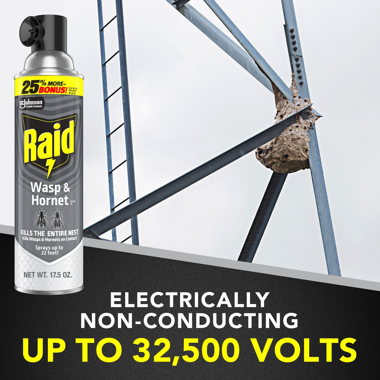 Raid Wasp & Hornet Killer, Outdoor Flying Insect Spray