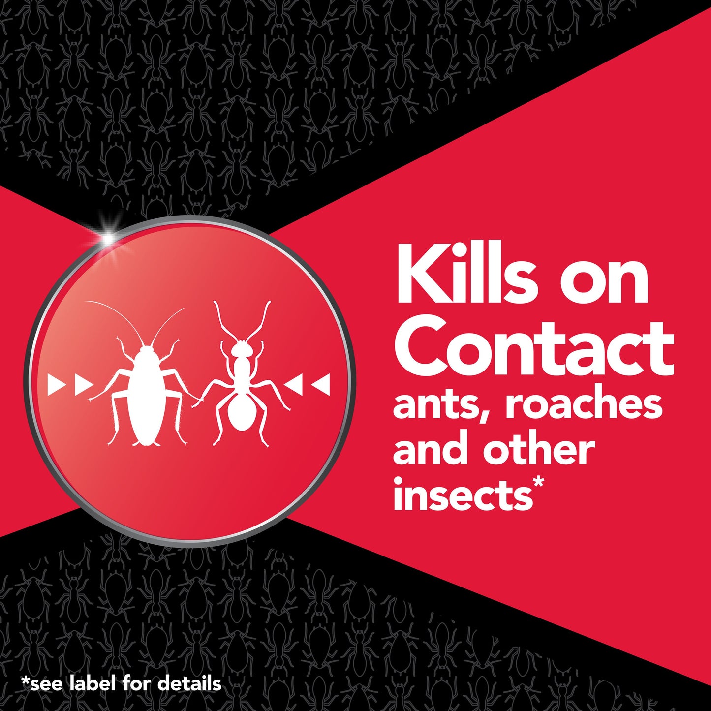 Raid Max Ant & Roach Insecticide Spray