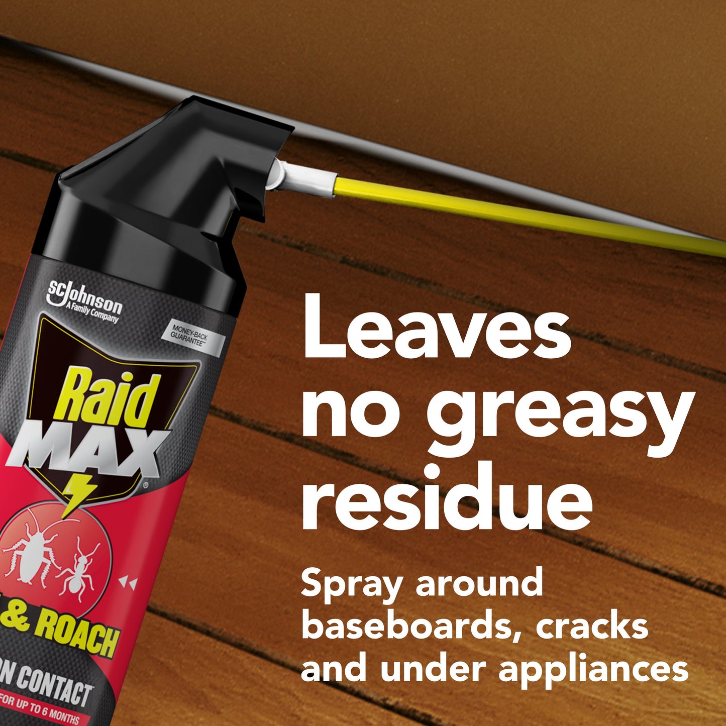 Raid Max Ant & Roach Insecticide Spray
