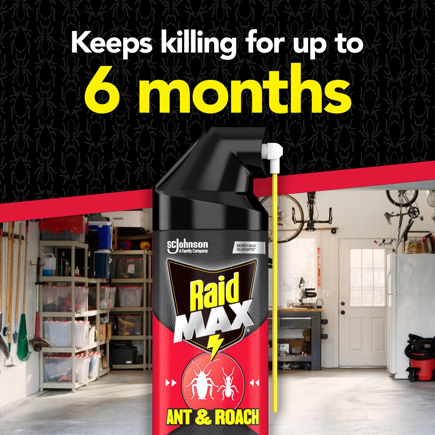 Raid Max Ant & Roach Insecticide Spray