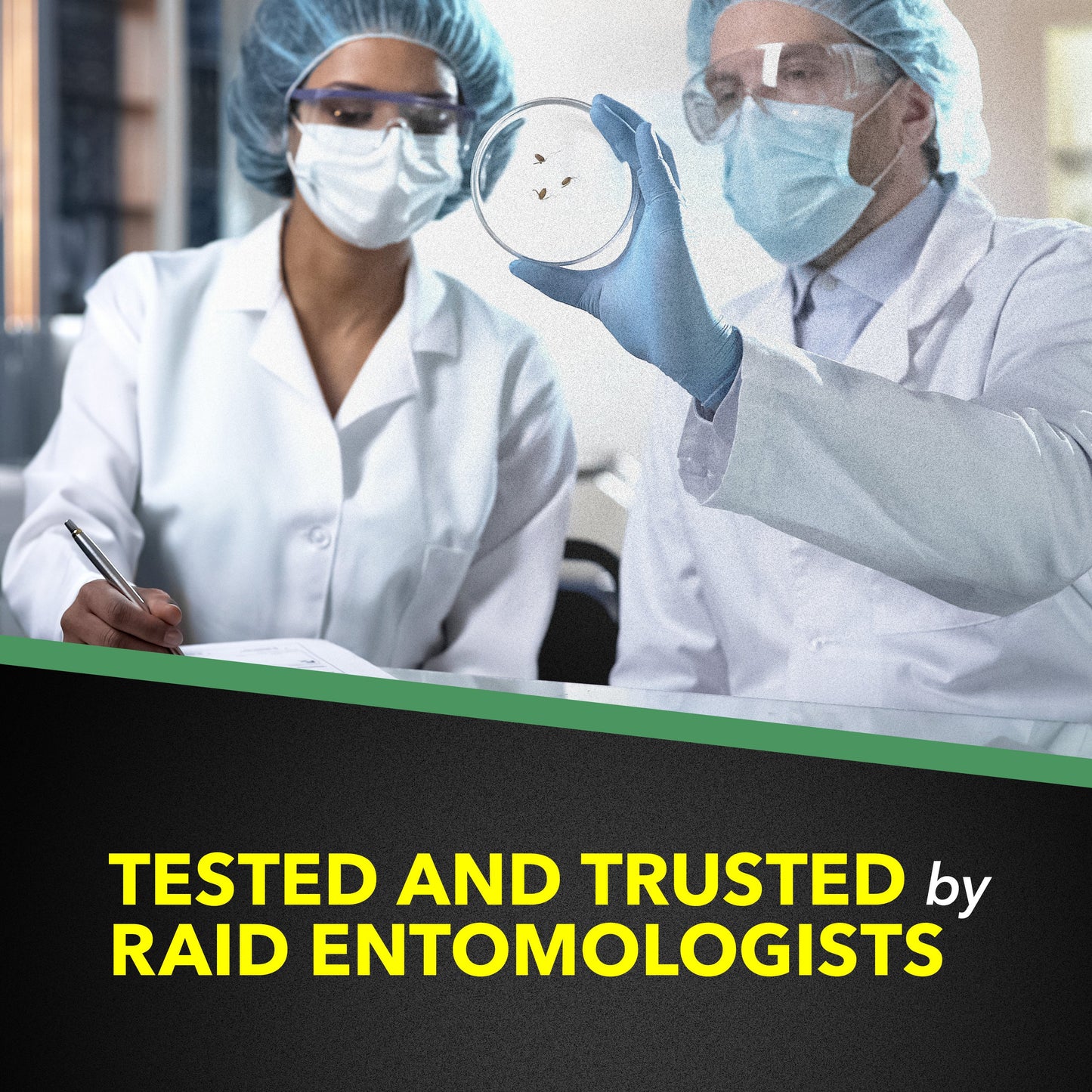 Raid House & Garden I Bug Spray