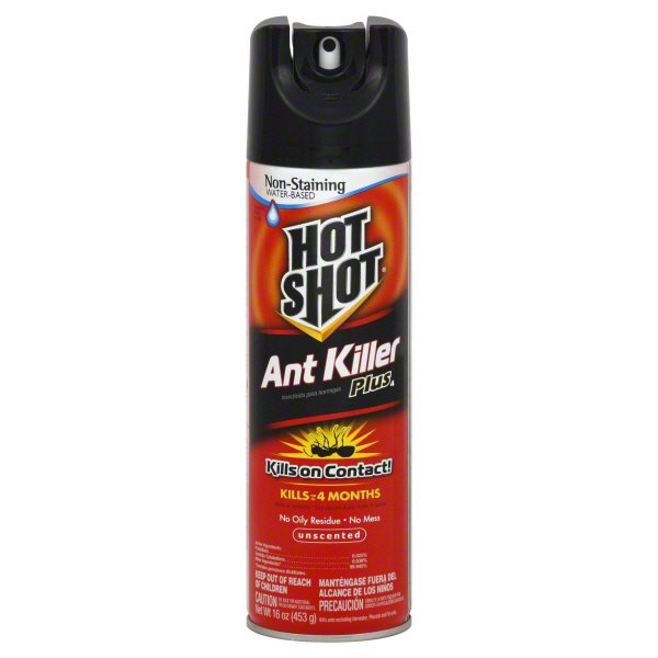 Hot Shot Ant Killer Plus Aerosol, Unscented, Kills On Contact