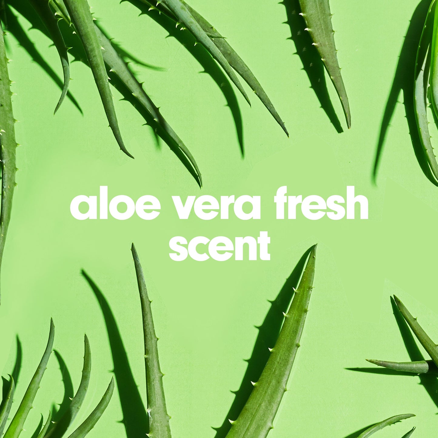 Softsoap Soothing Clean Moisturizing Hand Soap - Aloe Vera